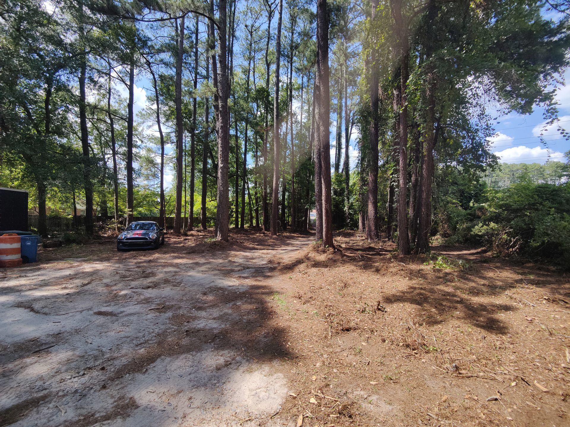 Driveway and access opening cleared through timber