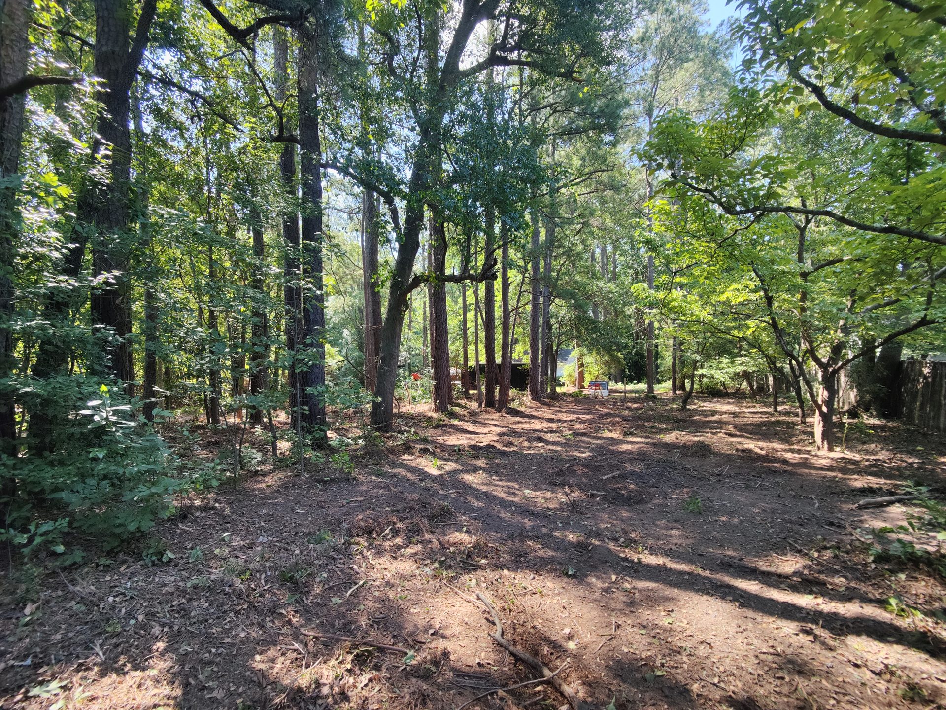 Easement and line clearing opening through brush