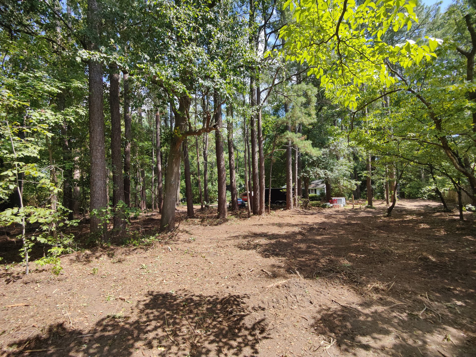 Fire break and easement corridor cleared with forestry mulching