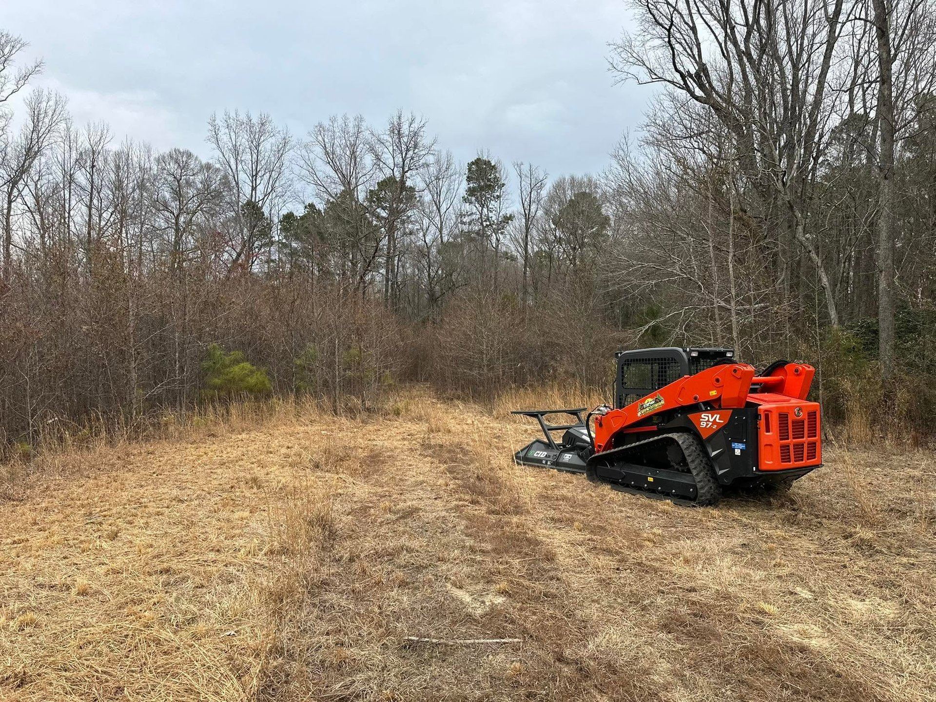 Rough cut opening through overgrown North Carolina timber