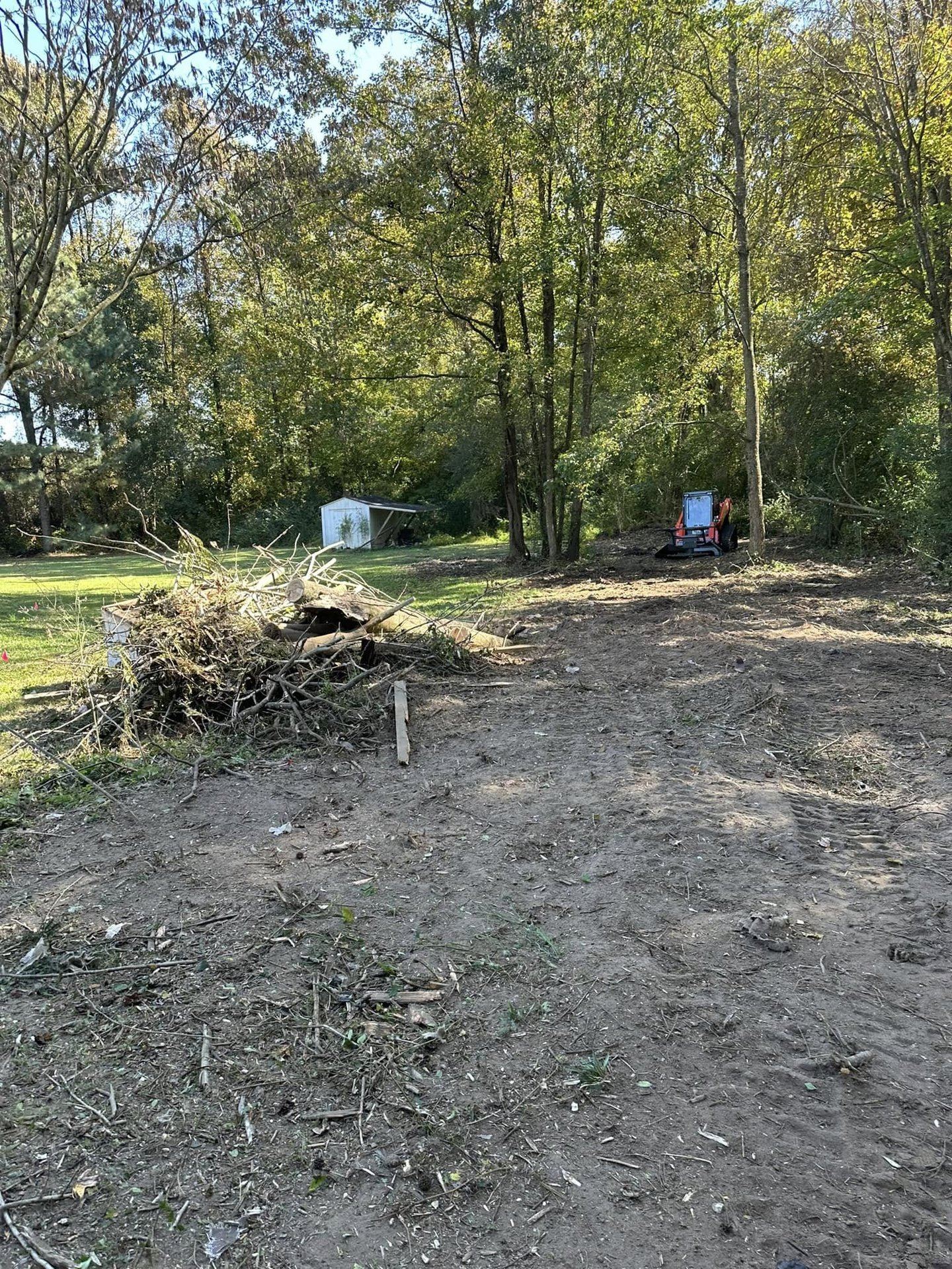 Finished mulched trail from forestry mulching through pines