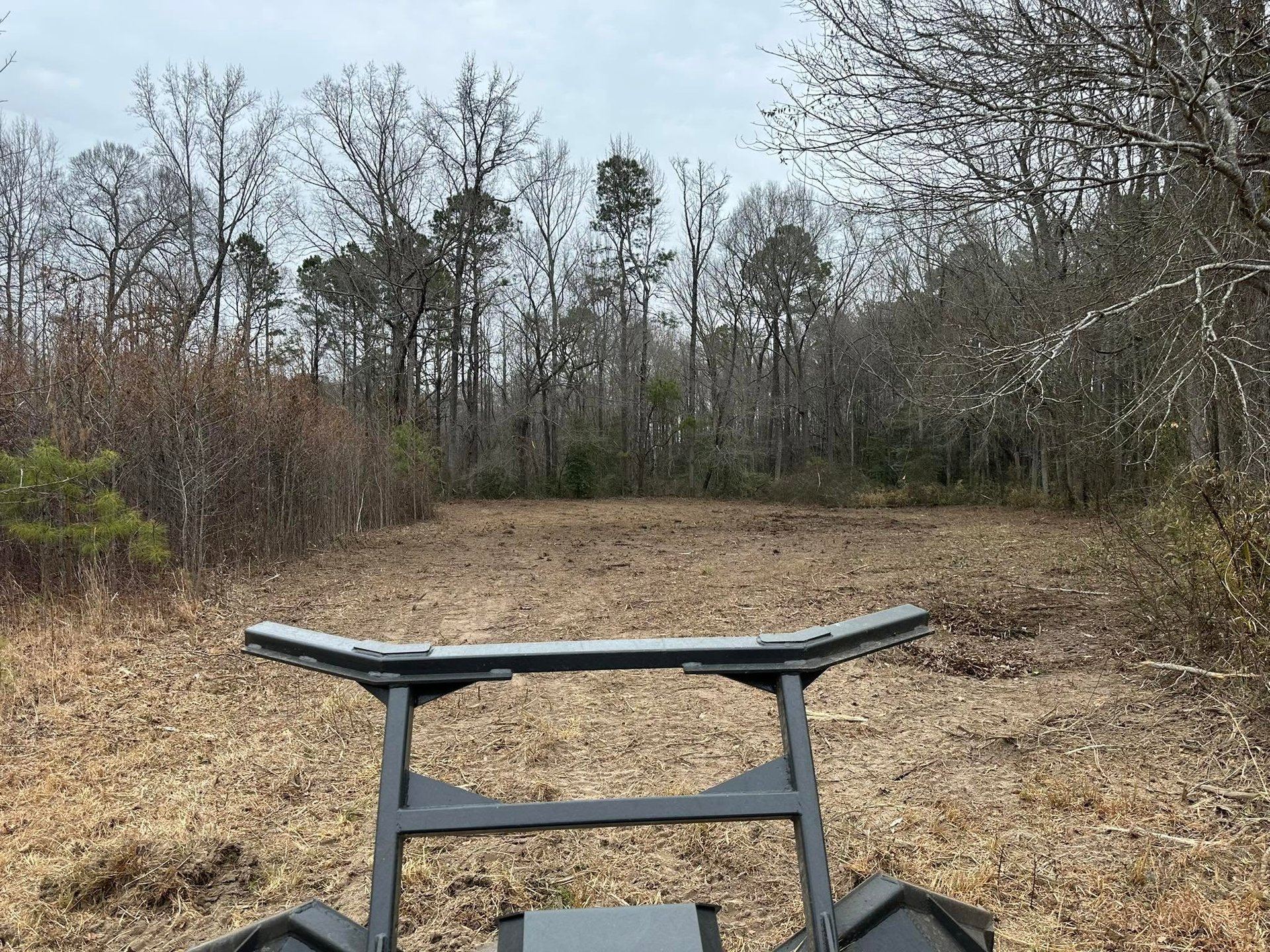 Cleared access corridor through timber after forestry mulching